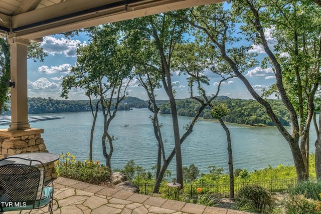 620 Harbor Point Dr, Johnson City, TN 37615 - photo 59