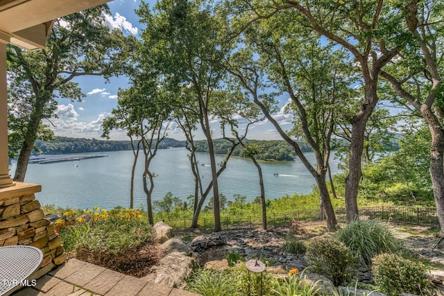 620 Harbor Point Dr, Johnson City, TN 37615 - photo 11