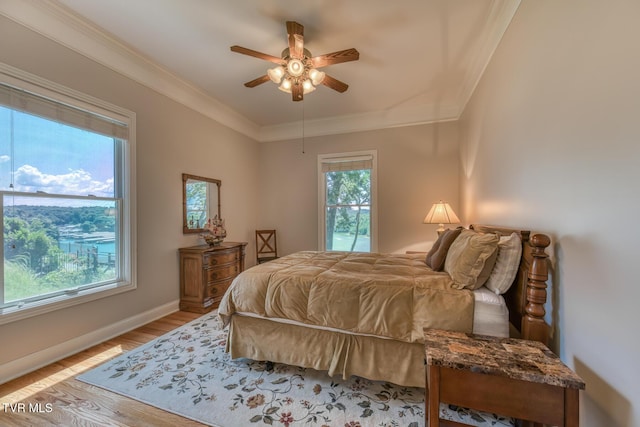 620 Harbor Point Dr, Johnson City, TN 37615 - photo 42