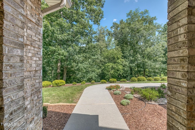 620 Harbor Point Dr, Johnson City, TN 37615 - photo 17