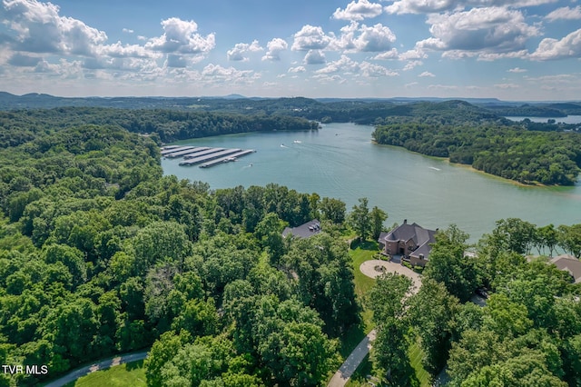 620 Harbor Point Dr, Johnson City, TN 37615 - photo 63