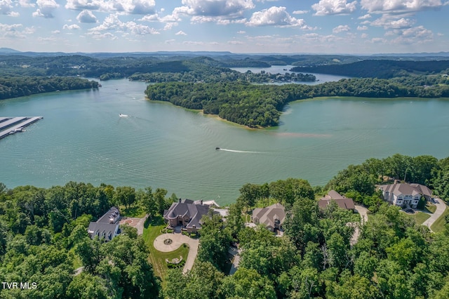 620 Harbor Point Dr, Johnson City, TN 37615 - photo 66