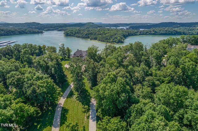 620 Harbor Point Dr, Johnson City, TN 37615 - photo 65