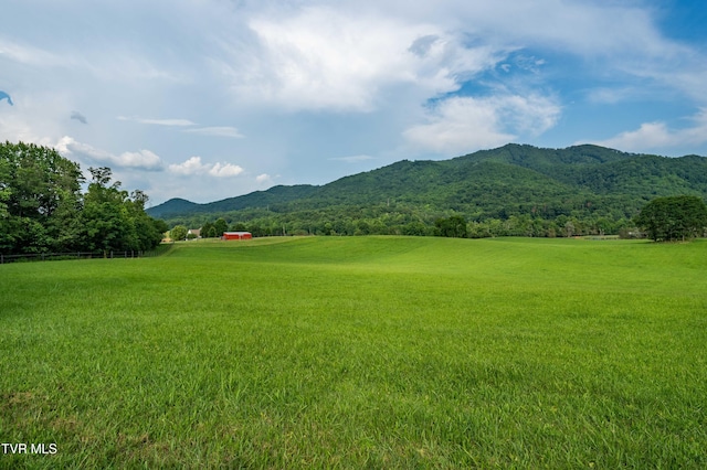2294 Dry Creek Rd, Johnson City, TN 37604 - photo 105