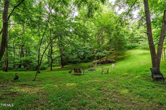 2294 Dry Creek Rd, Johnson City, TN 37604 - photo 107