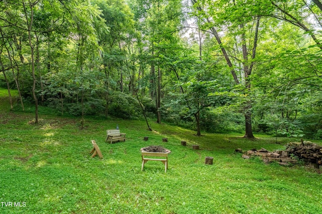 2294 Dry Creek Rd, Johnson City, TN 37604 - photo 108