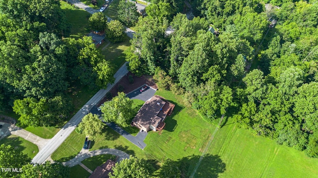 4527 Harbor Dr, Kingsport, TN 37664 - photo 54
