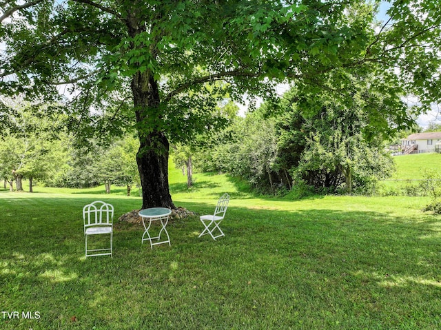 186 Garland Rd, Limestone, TN 37681 - photo 33