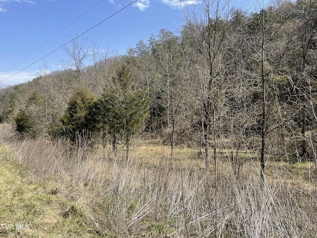 1028 E Pumpkin Valley Rd, Eidson, TN 37731 - photo 2