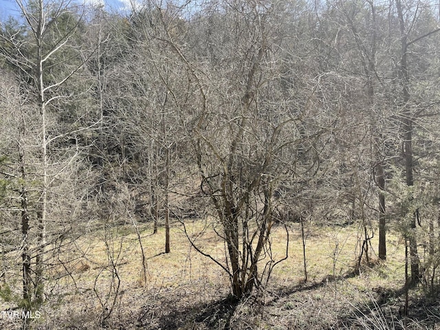 1028 E Pumpkin Valley Rd, Eidson, TN 37731 - photo 3