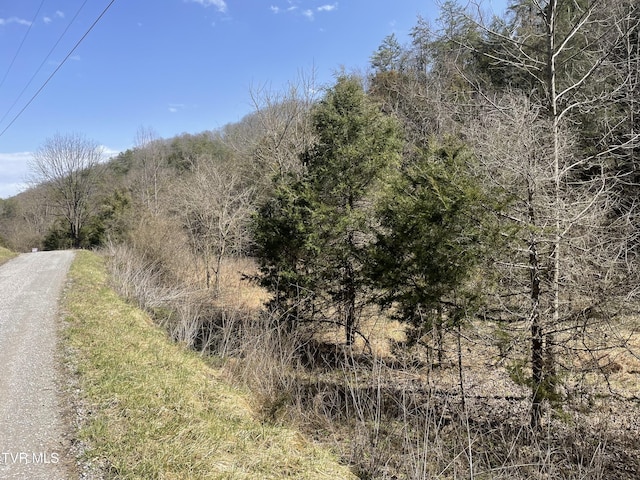 1028 E Pumpkin Valley Rd, Eidson, TN 37731 - photo 4