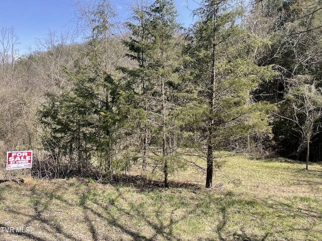 1028 E Pumpkin Valley Rd, Eidson, TN 37731 - photo 5