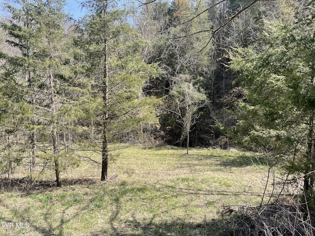 1028 E Pumpkin Valley Rd, Eidson, TN 37731 - photo 6