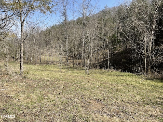 1028 E Pumpkin Valley Rd, Eidson, TN 37731 - photo 7