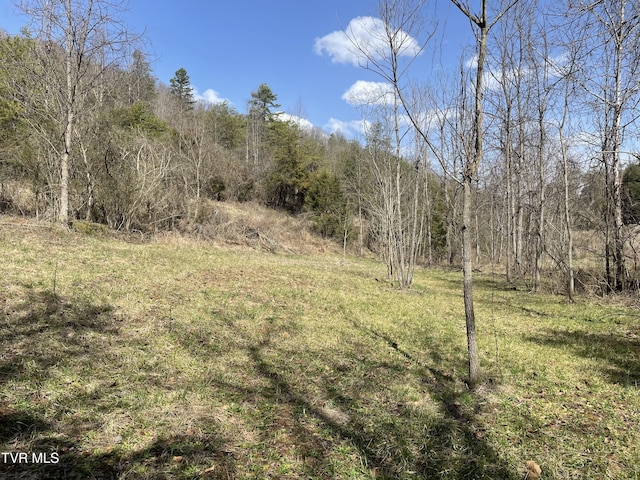 1028 E Pumpkin Valley Rd, Eidson, TN 37731 - photo 8