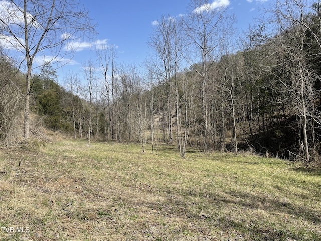 1028 E Pumpkin Valley Rd, Eidson, TN 37731 - photo 9