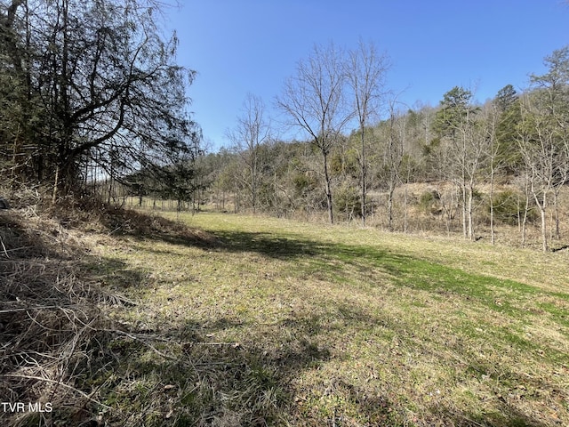 1028 E Pumpkin Valley Rd, Eidson, TN 37731 - photo 10