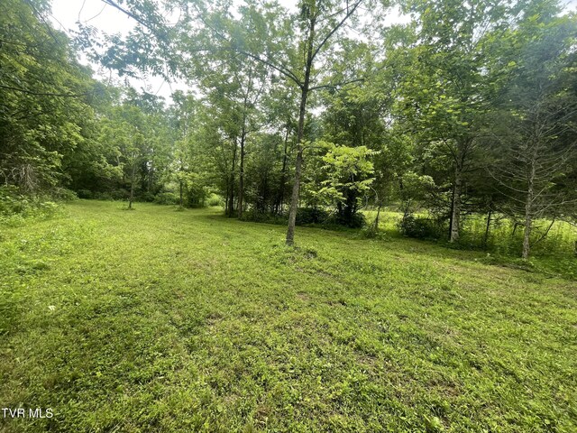 1028 E Pumpkin Valley Rd, Eidson, TN 37731 - photo 11