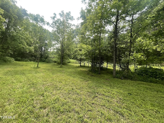 1028 E Pumpkin Valley Rd, Eidson, TN 37731 - photo 12