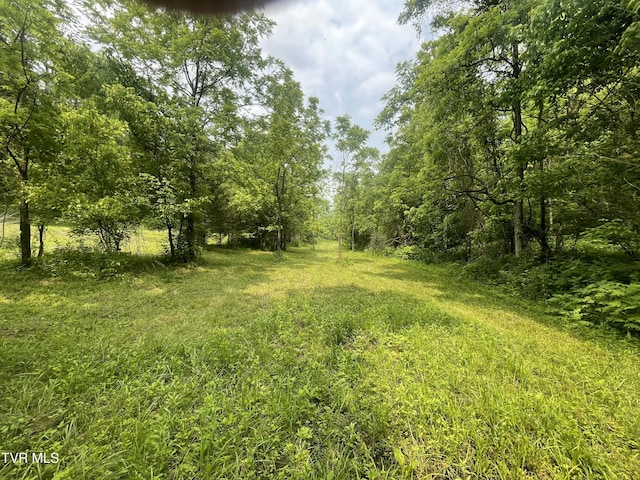 1028 E Pumpkin Valley Rd, Eidson, TN 37731 - photo 1