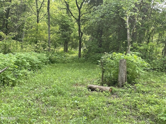 1028 E Pumpkin Valley Rd, Eidson, TN 37731 - photo 19