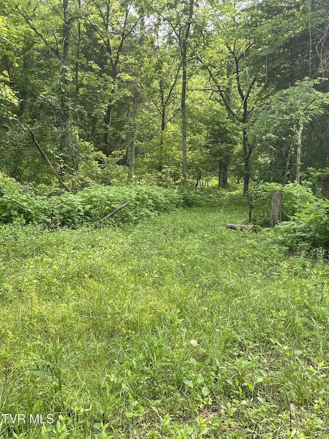1028 E Pumpkin Valley Rd, Eidson, TN 37731 - photo 18