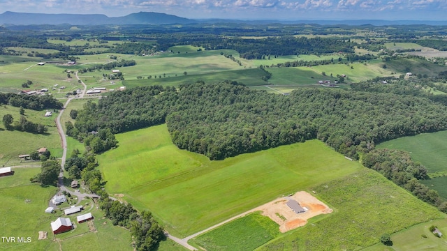 170 Mccall Rd, Limestone, TN 37681 - photo 2