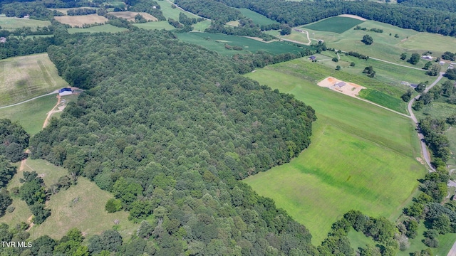 170 Mccall Rd, Limestone, TN 37681 - photo 3