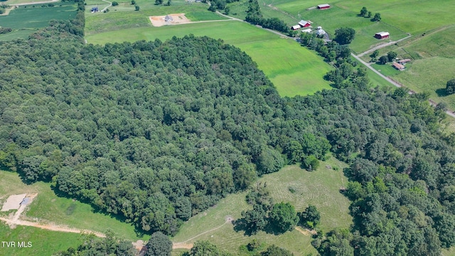 170 Mccall Rd, Limestone, TN 37681 - photo 4