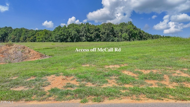170 Mccall Rd, Limestone, TN 37681 - photo 5