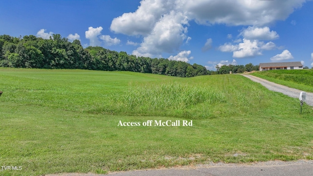 170 Mccall Rd, Limestone, TN 37681 - photo 6
