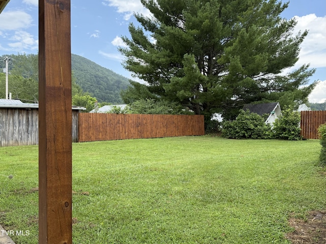 124 Mary St, Mountain City, TN 37683 - photo 13