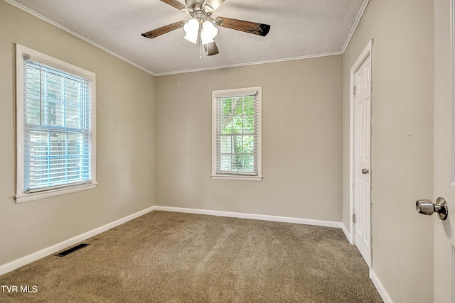 1677 Jefferson Ave, Kingsport, TN 37664 - photo 26