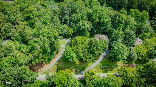 312 Sourwood Hills Rd, Bristol, TN 37620 - photo 44