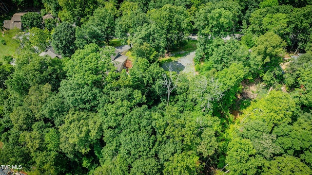 312 Sourwood Hills Rd, Bristol, TN 37620 - photo 45