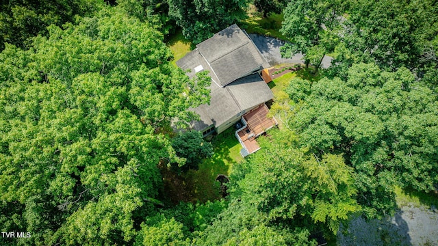 312 Sourwood Hills Rd, Bristol, TN 37620 - photo 46