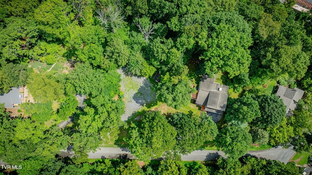 312 Sourwood Hills Rd, Bristol, TN 37620 - photo 47