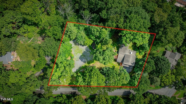 312 Sourwood Hills Rd, Bristol, TN 37620 - photo 48