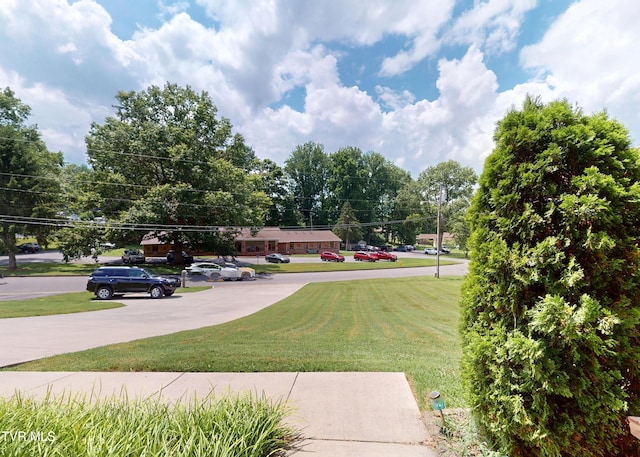 219 Parkway Blvd, Elizabethton, TN 37643 - photo 33