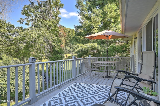104 Ridgecrest Dr, Greeneville, TN 37745 - photo 47
