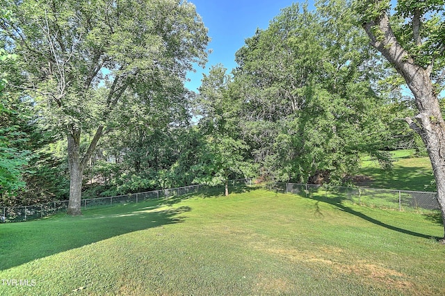 104 Ridgecrest Dr, Greeneville, TN 37745 - photo 53