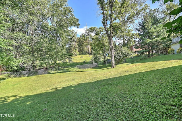 104 Ridgecrest Dr, Greeneville, TN 37745 - photo 54