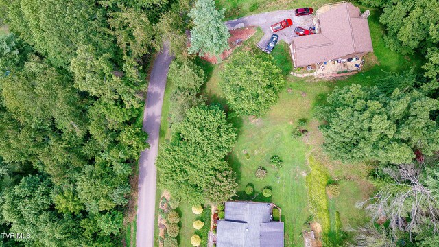 0 Laurel St, Weber City, VA 24290 - photo 4