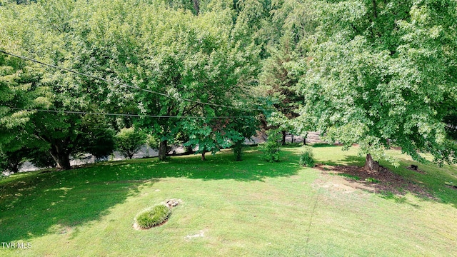 0 Laurel St, Weber City, VA 24290 - photo 8