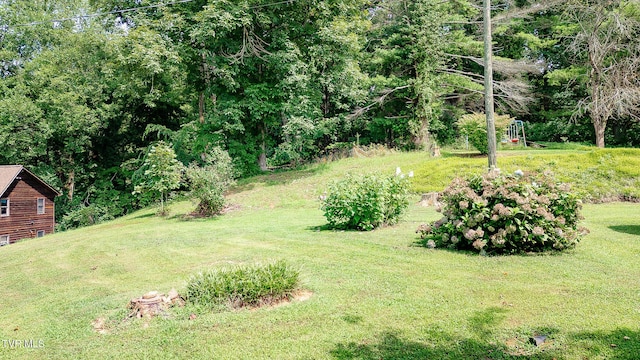 0 Laurel St, Weber City, VA 24290 - photo 9