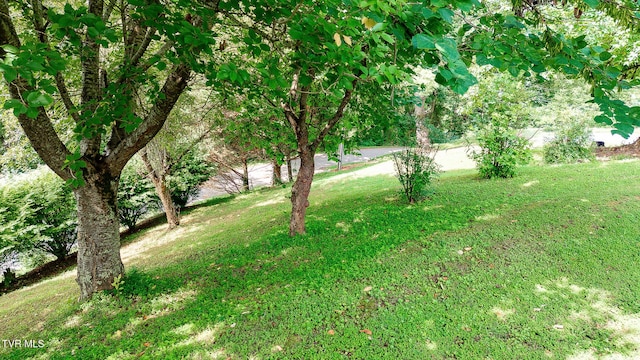 0 Laurel St, Weber City, VA 24290 - photo 10