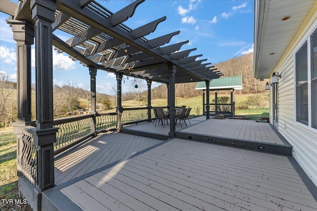 225 Mary Lamons Rd, Afton, TN 37616 - photo 4