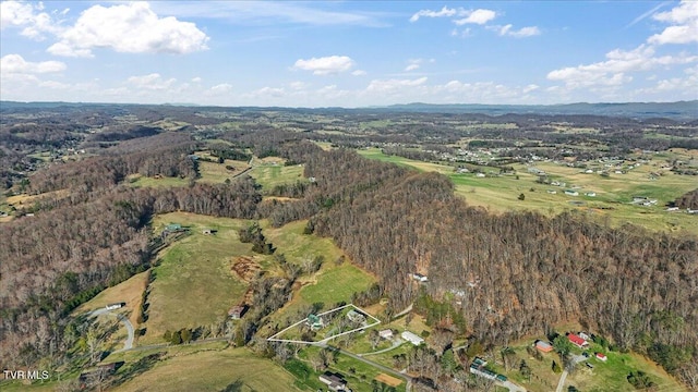 225 Mary Lamons Rd, Afton, TN 37616 - photo 102