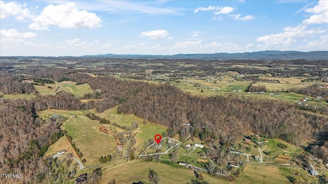 225 Mary Lamons Rd, Afton, TN 37616 - photo 103