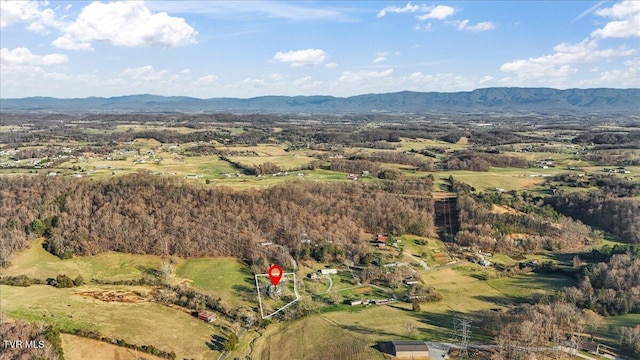 225 Mary Lamons Rd, Afton, TN 37616 - photo 104